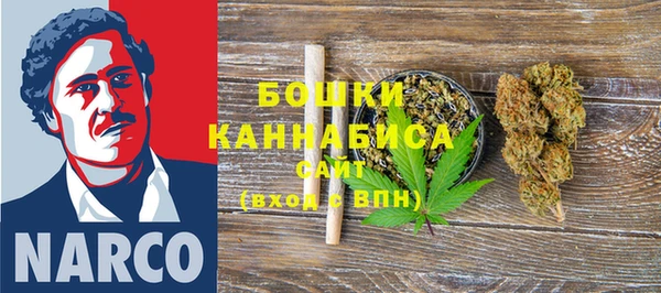 СК Арсеньев