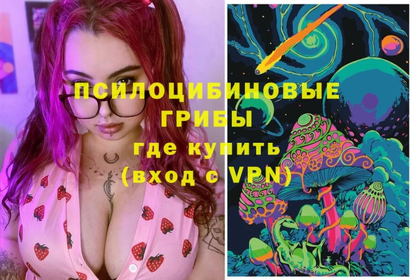 мдпв Армянск