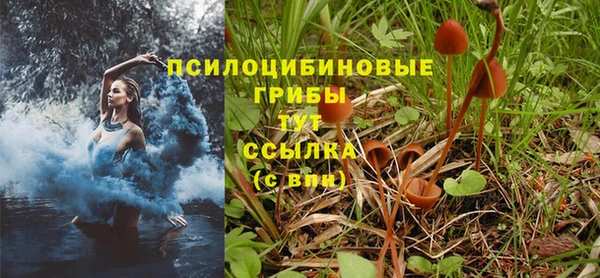 jwh Аркадак