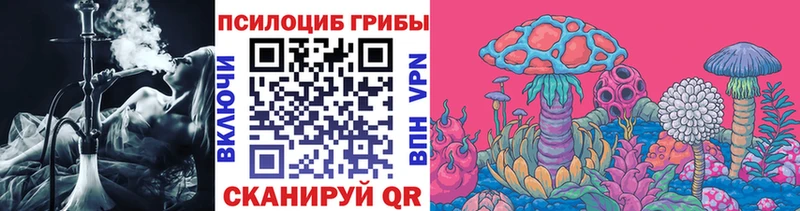 Псилоцибиновые грибы мицелий  купить  цена  Рыбное 